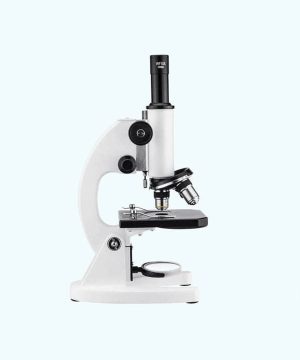 Compound Microscope